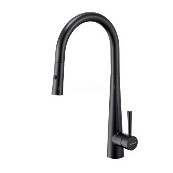 Vòi nước Eurogold dây rút inox 304 phủ nano đen EUF118DR